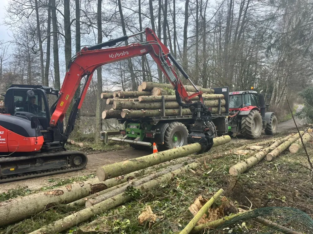 travaux forestier
