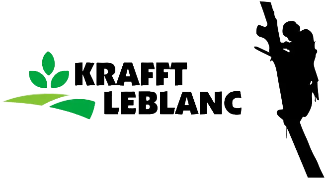 Kraft leblanc